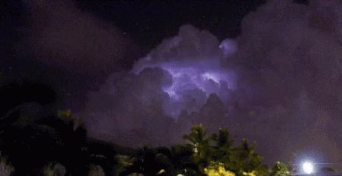 A Lightning Bolt Is Visible In The Night Sky Above A Fence And Palm Trees GIF