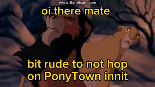 A Lion And A Lioness Standing Next To Each Other With The Words " Oi There Mate " GIF
