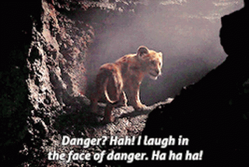 A Lion Cub In A Cave With The Words Danger Hah I Laugh In The Face Of Danger GIF