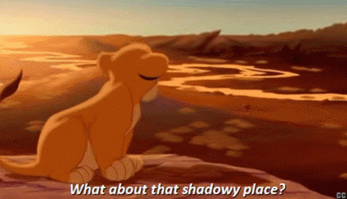 A Lion Cub Is Sitting On A Rock With The Words What About That Shadowy Place Below It GIF