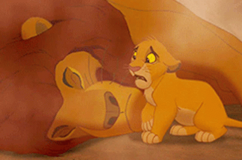 A Lion Cub Laying On Top Of A Lion GIF