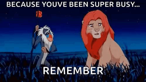 A Lion Is Standing Next To A Monkey In A Field . GIF