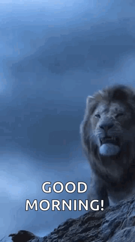 A Lion Is Standing On Top Of A Rocky Hill With The Words `` Good Morning '' Written Below It . GIF