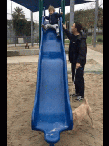 A Little Boy Is Going Down A Blue Slide While A Man Looks On GIF