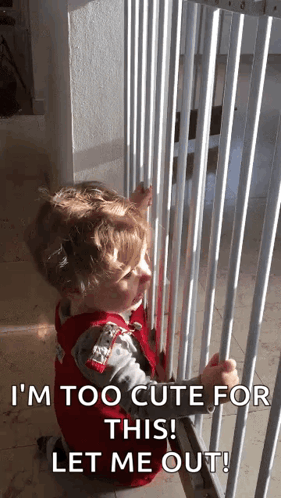 a little boy is looking through a fence and says i 'm too cute for this let me out !