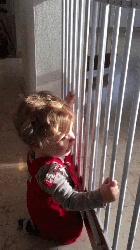 A Little Boy Wearing A Red Vest That Says ' U.s. Air Force ' On It GIF