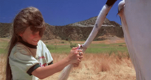 A Little Girl Holding A Horse 'S Tail In A Field Wearing A Shirt That Says ' Coca Cola ' On It GIF