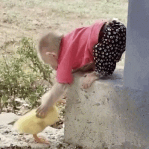 A Little Girl In A Pink Shirt Is Playing With A Duck GIF