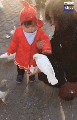 A Little Girl In A Red Coat Is Holding A White Pigeon In Her Hands GIF