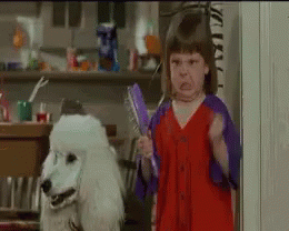 A Little Girl In A Red Dress Is Holding A Brush Next To A White Poodle GIF