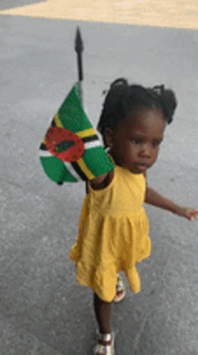 A Little Girl In A Yellow Dress Holds A Small Flag GIF