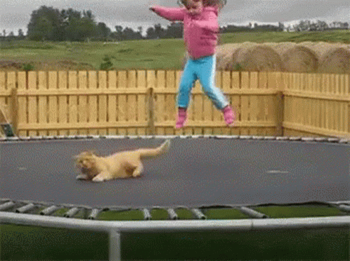 A Little Girl Is Jumping On A Trampoline With A Cat On The Ground GIF