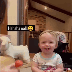 A Little Girl Is Laughing With A Sign That Says ' Hahaha No !!! ' GIF