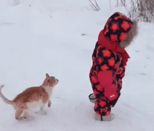A Little Girl Is Standing In The Snow Next To A Cat . GIF