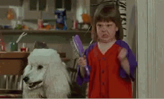 A Little Girl Is Standing Next To A White Poodle Holding A Brush In Her Hand . GIF