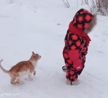 A Little Girl Is Walking In The Snow Next To A Cat GIF