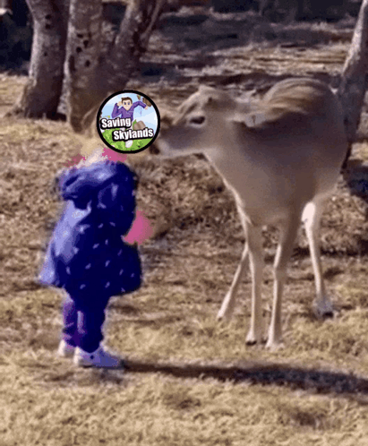 A Little Girl Looking At A Deer With A Sticker That Says Saving Skylands On It GIF