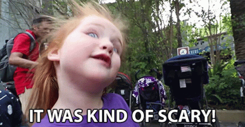 A Little Girl Says It Was Kind Of Scary In Front Of Stroller GIF