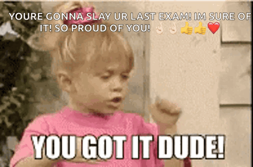 A Little Girl Says You Got It Dude In A Pink Shirt GIF