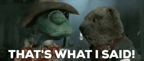 A Lizard And A Otter Are Standing Next To Each Other And The Otter Says That 'S What I Said GIF