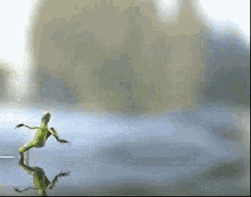 A Lizard Is Dancing On A Table With Its Reflection . GIF