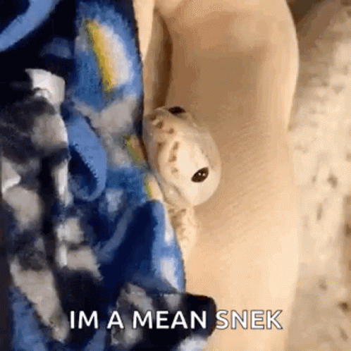 A Lizard Is Sitting On A Person 'S Arm With The Words `` Im A Mean Snek '' Written On It . GIF