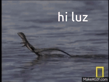 A Lizard Is Swimming In The Water With The Words Hi Luz Written On The Bottom GIF