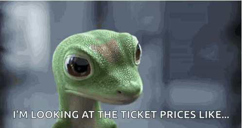 A Lizard Says I 'M Looking At The Ticket Prices Like ... GIF