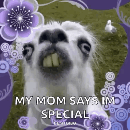 A Llama With Big Teeth Is Making A Funny Face With Purple Flowers In The Background . GIF