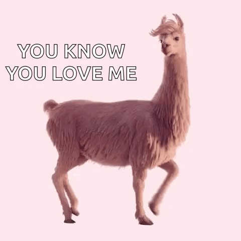 A Llama With The Words `` You Know You Love Me '' Written On It . GIF