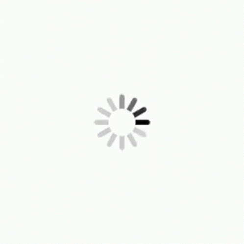 A Loading Icon On A White Background That Looks Like A Sun . GIF