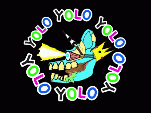 A Logo For A Company Called Yolo GIF