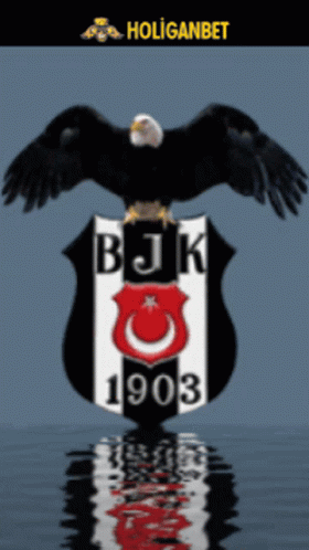A Logo For Bjk 1903 With A Bald Eagle On Top GIF