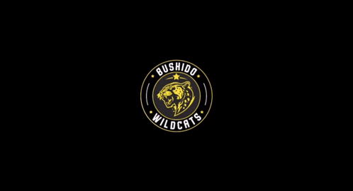 a logo for bushido wildcats with a tiger head in the center