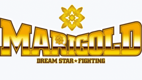 A Logo For Marigold Dream Star Fighting Has A Flower On It GIF