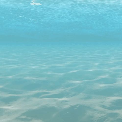 A Logo For Novo Scuba Diving Redefined Is Shown GIF
