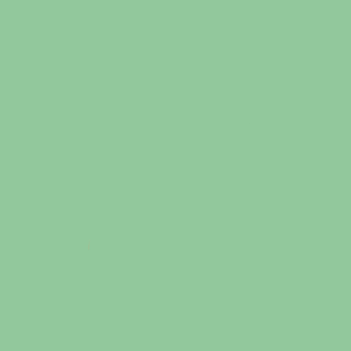 A Logo For Oranje Fonds Is Displayed On A Green Background GIF