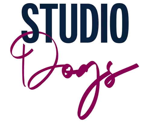 a logo for studio doy 's is shown in purple and blue