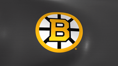 A Logo For The Boston Bruins With The Letter B In The Center GIF