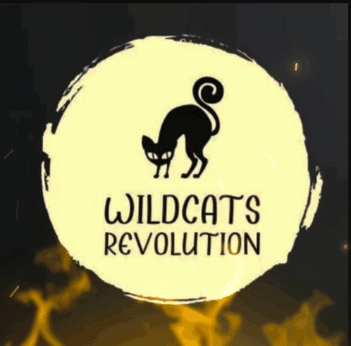 a logo for wildcats revolution with a black cat in the center