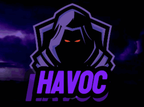 A Logo That Says Hhavoc With A Hooded Figure GIF
