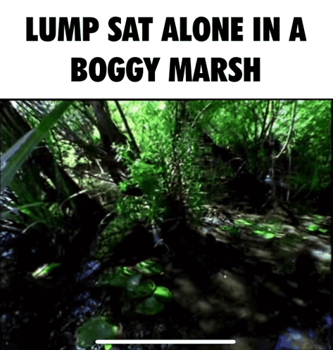 A Lump Sits Alone In A Boggy Marsh With Trees In The Background GIF