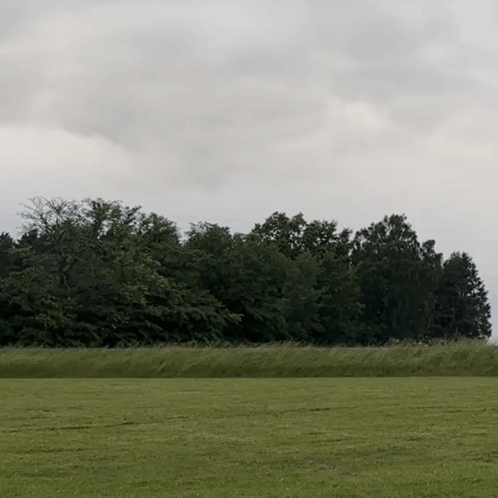 A Lush Green Field With Trees In The Background And A Cloudy Sky GIF