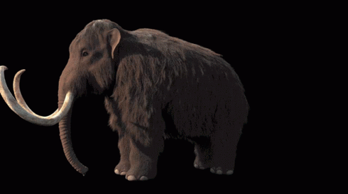 A Mammoth With Huge Tusks Is Standing In The Dark GIF
