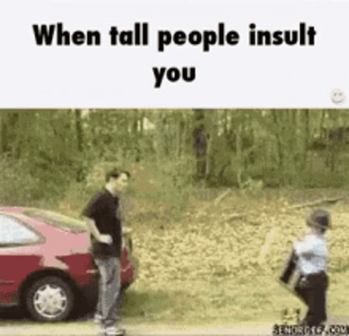 A Man And A Boy Are Standing Next To A Red Car With The Words When Tall People Insult You GIF