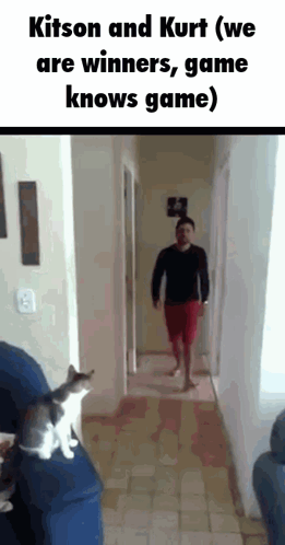 A Man And A Cat Are Playing A Game In A Hallway GIF