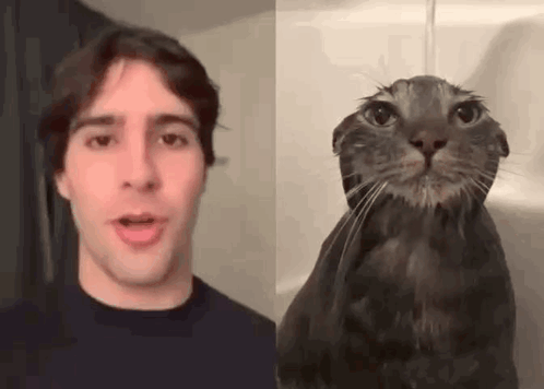 A Man And A Cat Are Standing Next To Each Other In A Bathroom . GIF