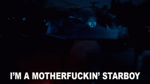 A Man And A Dog Are Driving A Car At Night And The Dog Is Looking Out The Window . GIF