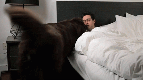A Man And A Dog Are Laying On A Bed Covered In White Sheets GIF