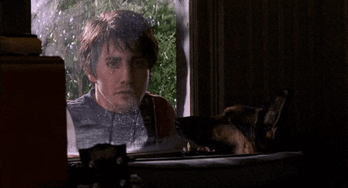 a man and a dog are looking out a window